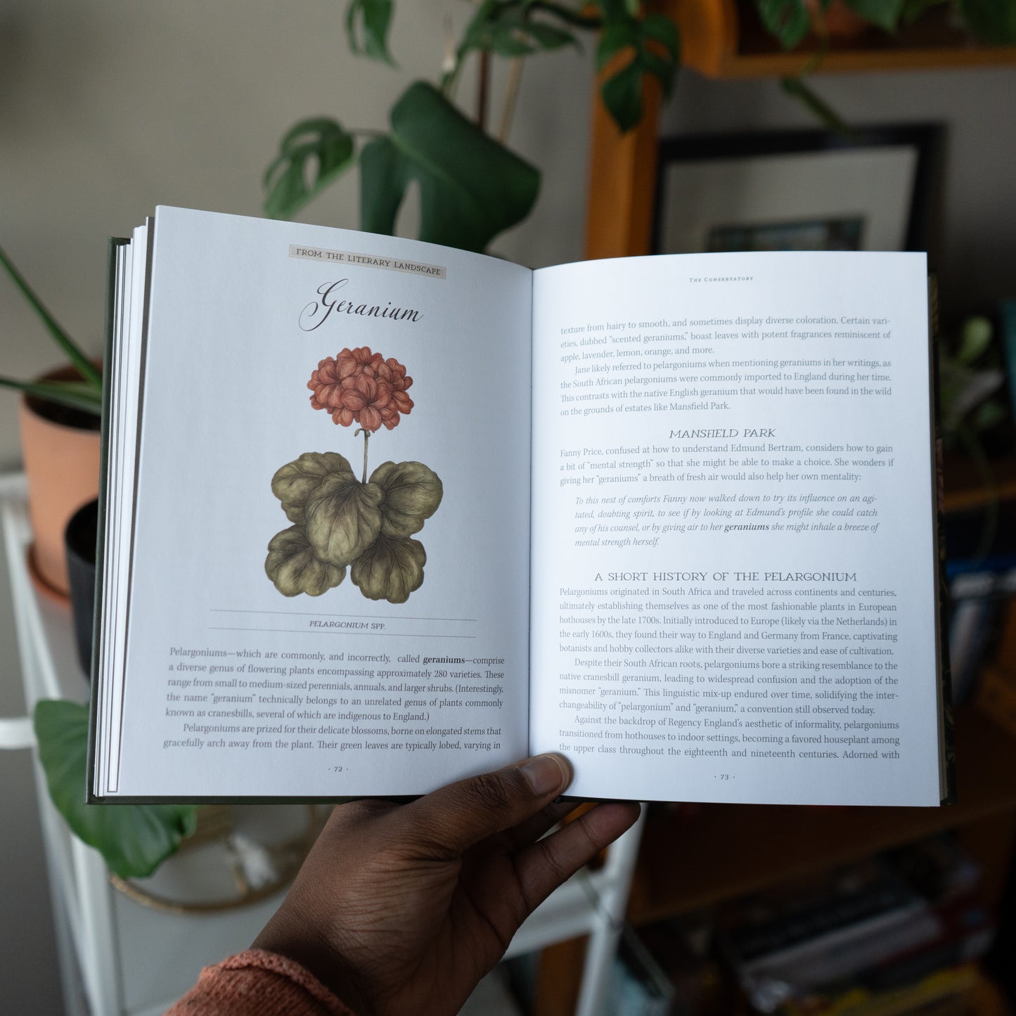 Jane Austen’s Garden by Jessica Roux and Molly Williams