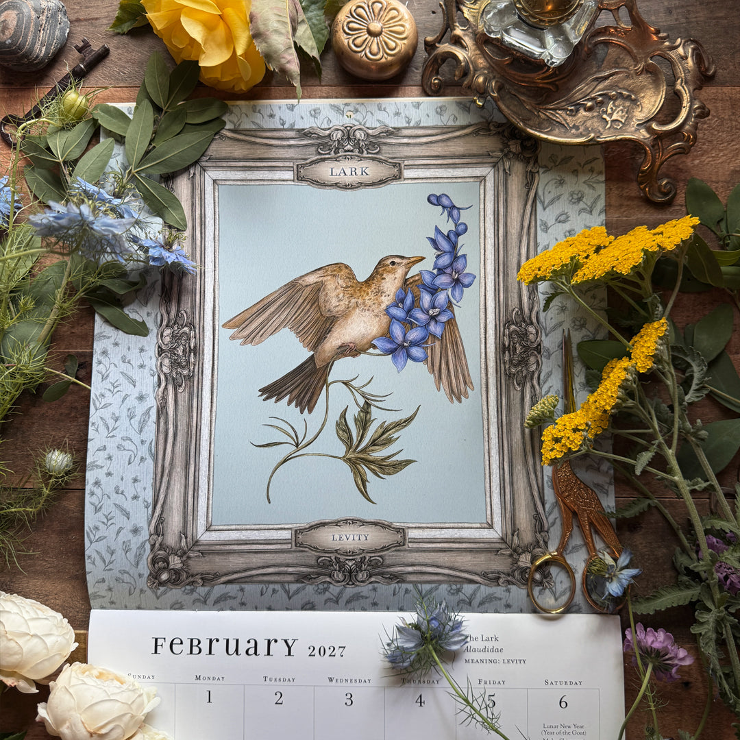 Ornithography 2027 Wall Calendar by Jessica Roux