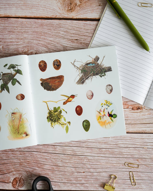 Birds: A Smithsonian Sticker Book by The Smithsonian Institution