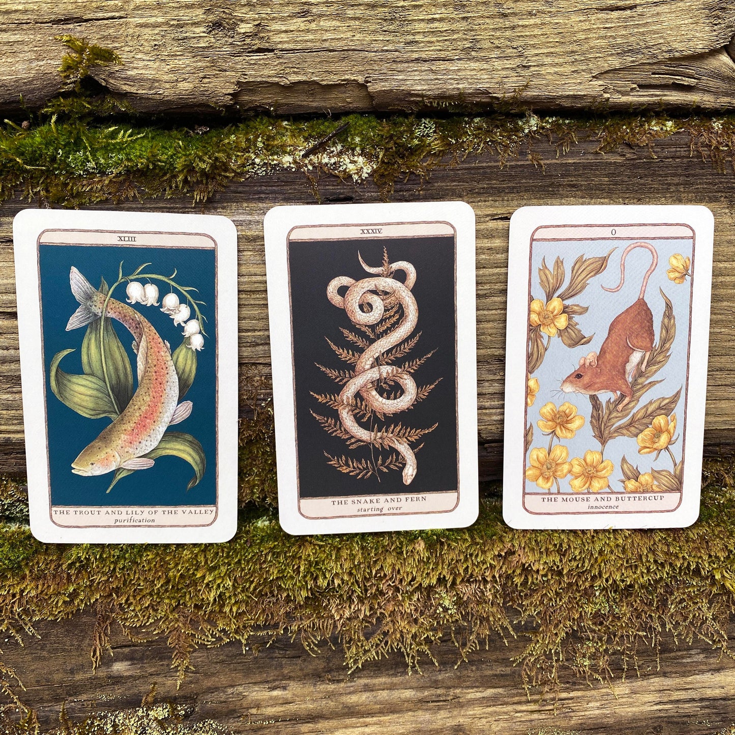 Woodland Wardens: 52-Card Oracle Deck & Guidebook by Jessica Roux