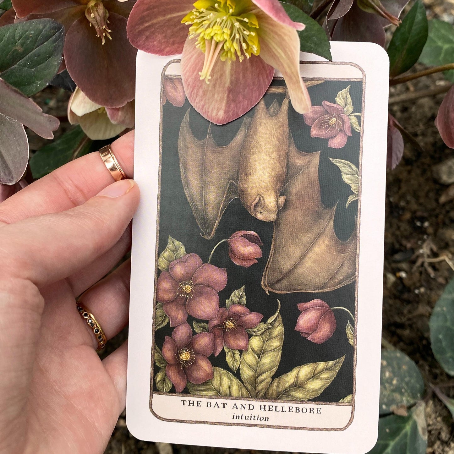 Woodland Wardens: 52-Card Oracle Deck & Guidebook by Jessica Roux