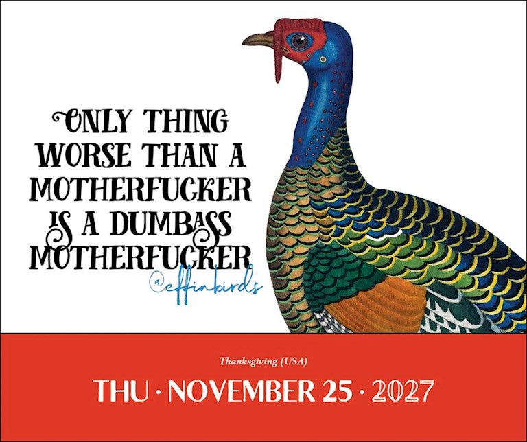 Effin’ Birds 2027 Day-to-Day Calendar by Aaron Reynolds