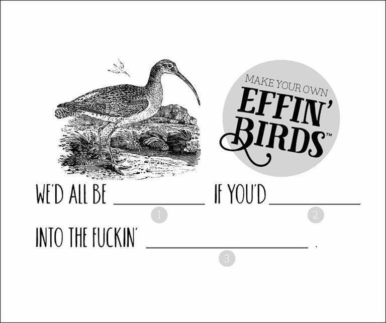 Effin’ Birds 2027 Day-to-Day Calendar by Aaron Reynolds