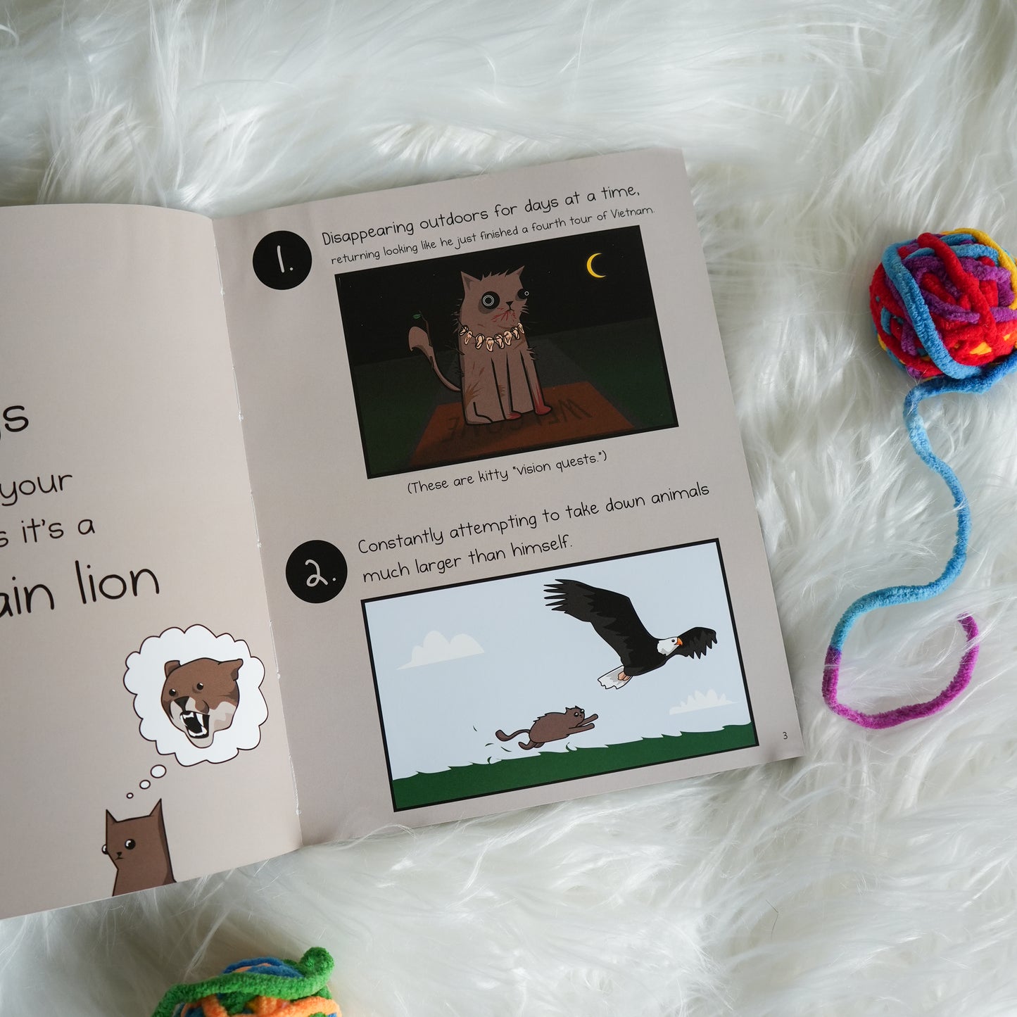 How to Tell If Your Cat Is Plotting to Kill You by Oatmeal, Matthew Inman