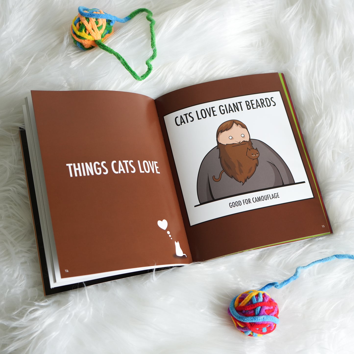 How to Tell If Your Cat Is Plotting to Kill You by Oatmeal, Matthew Inman