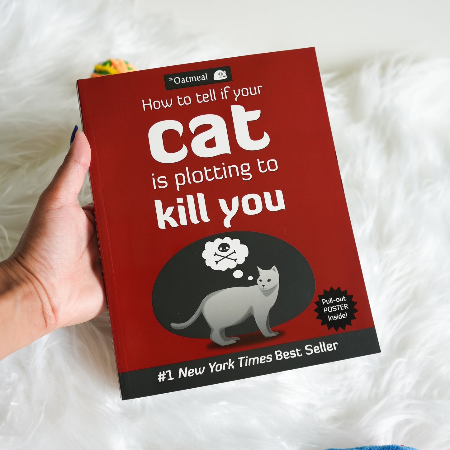 How to Tell If Your Cat Is Plotting to Kill You by Oatmeal, Matthew Inman
