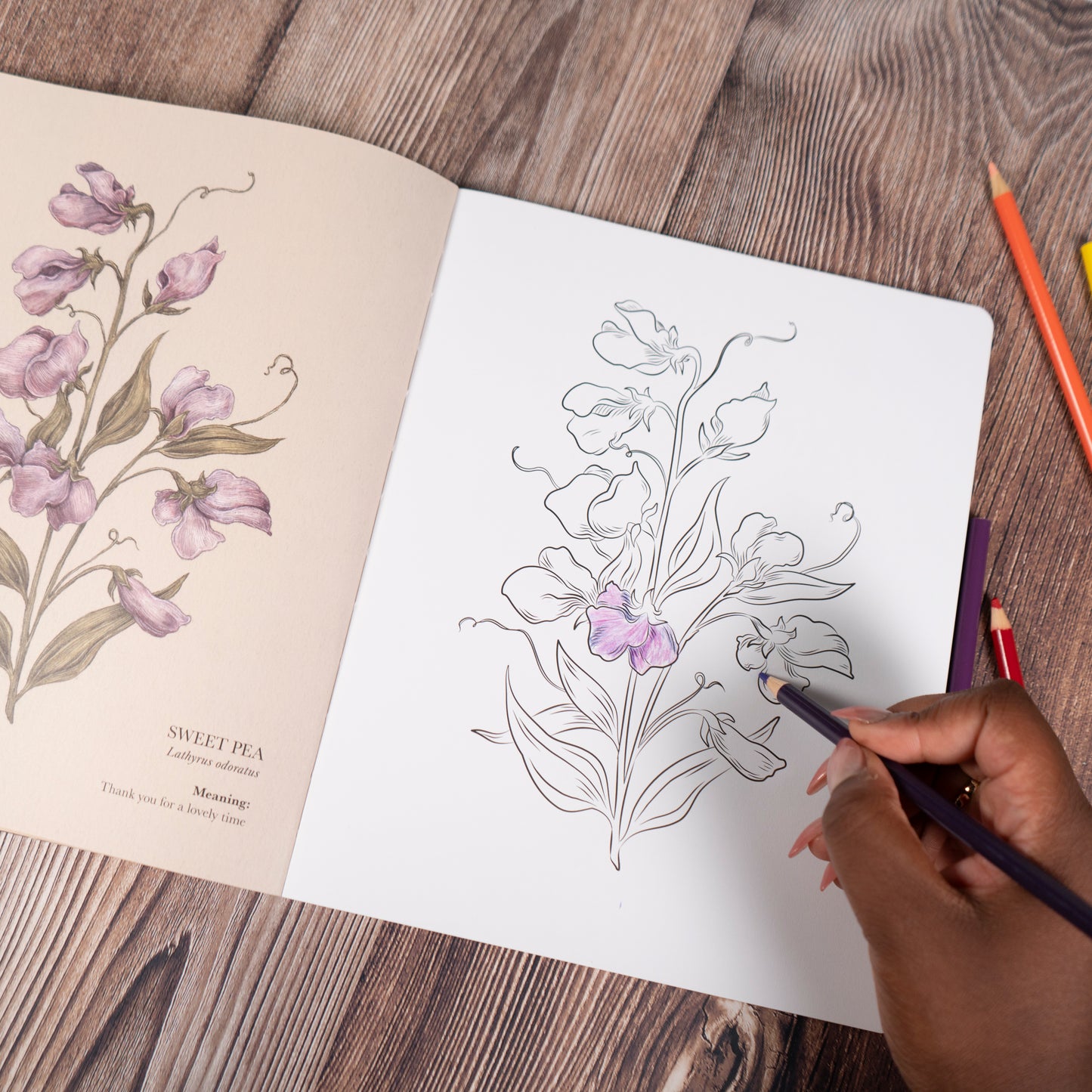 Floriography Coloring Book by Jessica Roux