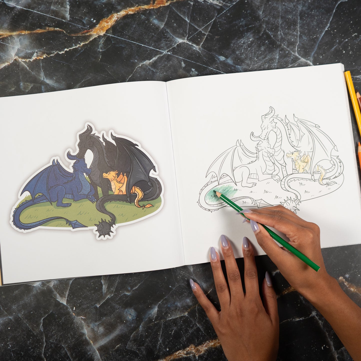The Fourth Wing Coloring Book by Entangled