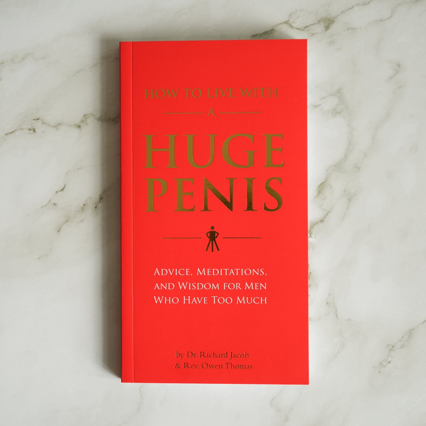 How to Live With a Huge Penis: Advice, Meditations, and Wisdom for Men Who Have Too Much