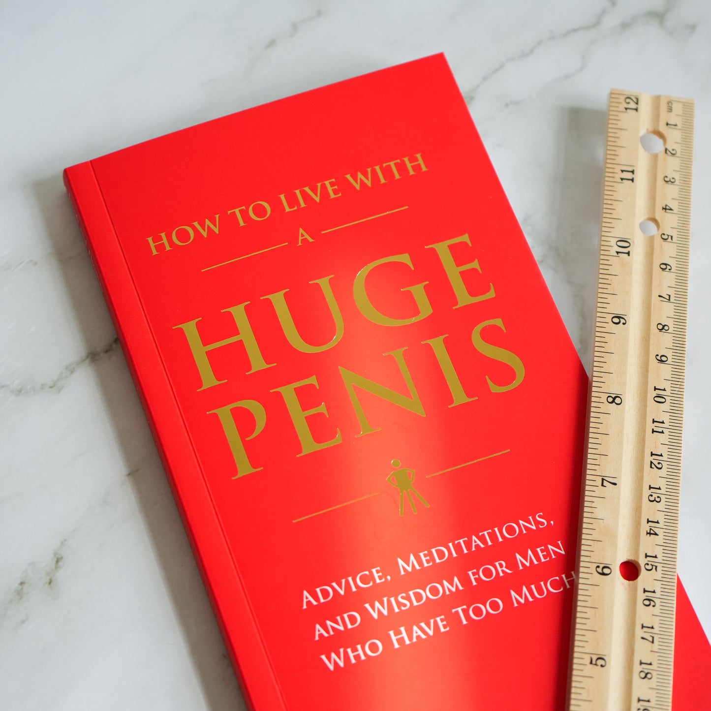 How to Live With a Huge Penis: Advice, Meditations, and Wisdom for Men Who Have Too Much