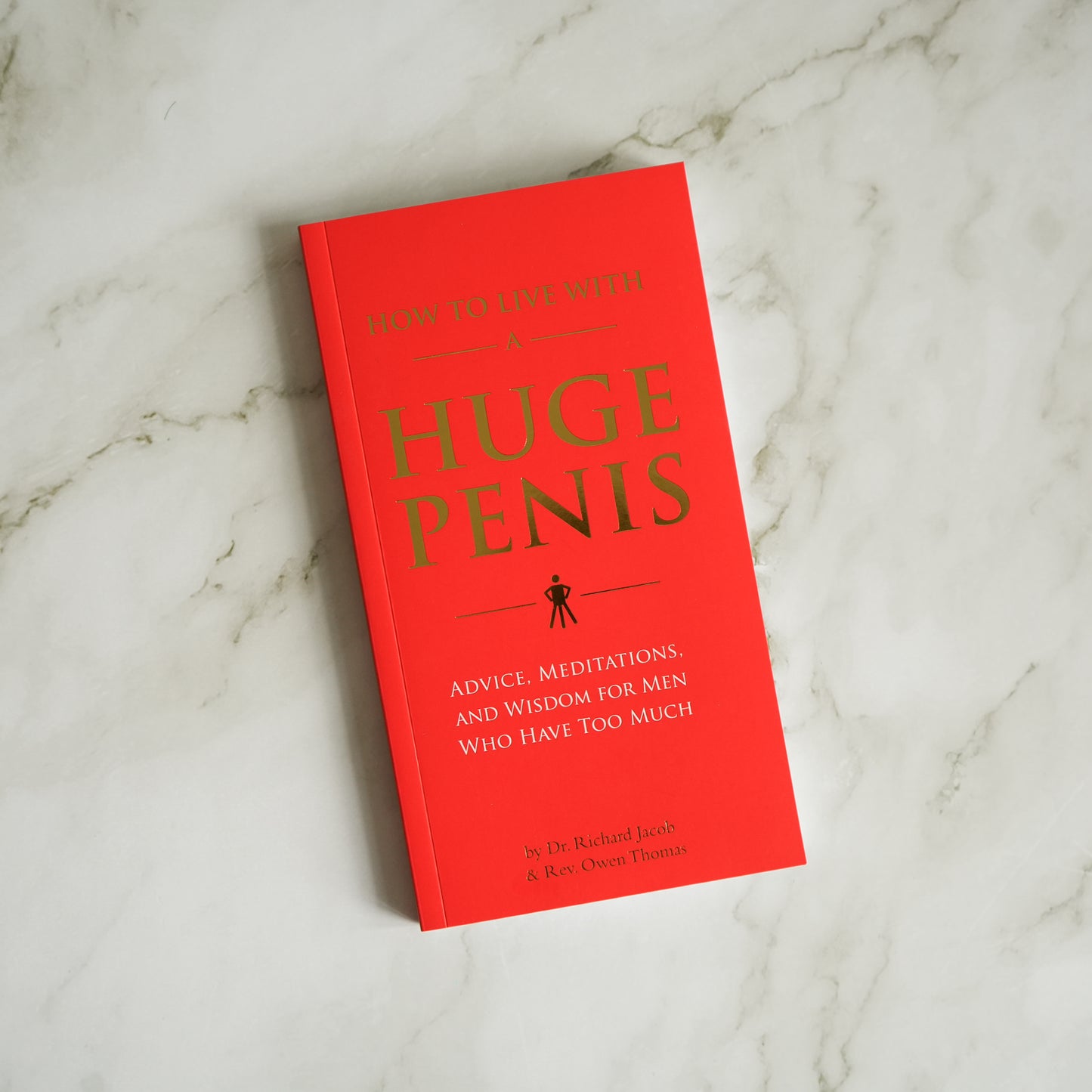 How to Live With a Huge Penis: Advice, Meditations, and Wisdom for Men Who Have Too Much