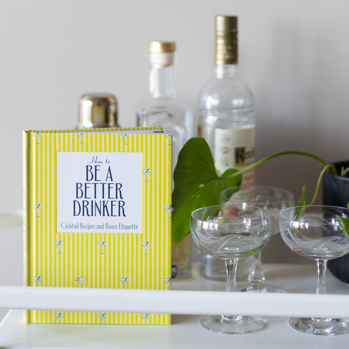 How to Be a Better Drinker: Cocktail Recipes and Boozy Etiquette by Hannah Chamberlain
