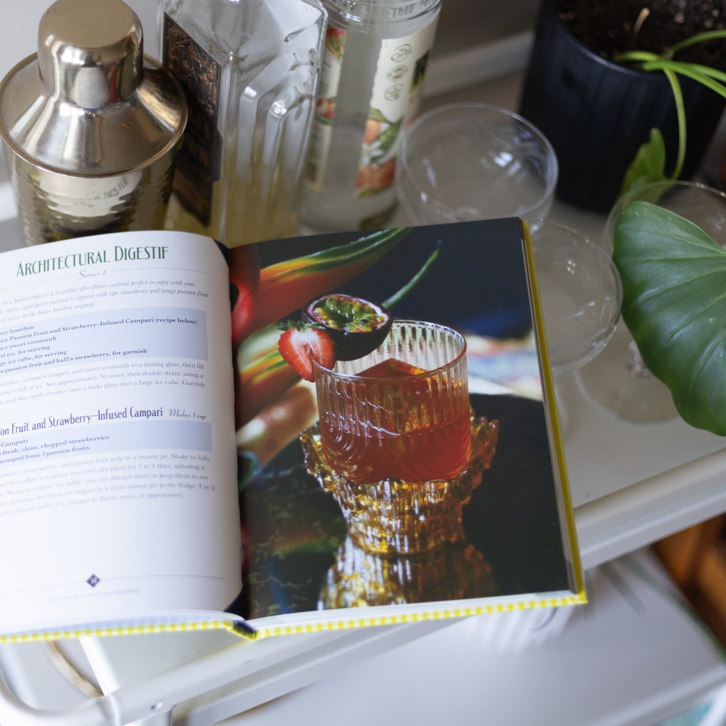 How to Be a Better Drinker: Cocktail Recipes and Boozy Etiquette by Hannah Chamberlain