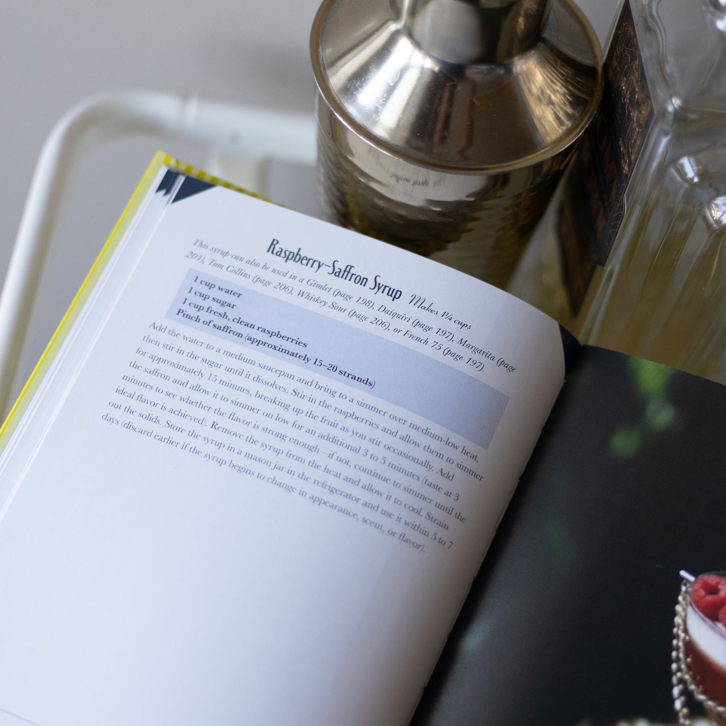 How to Be a Better Drinker: Cocktail Recipes and Boozy Etiquette by Hannah Chamberlain