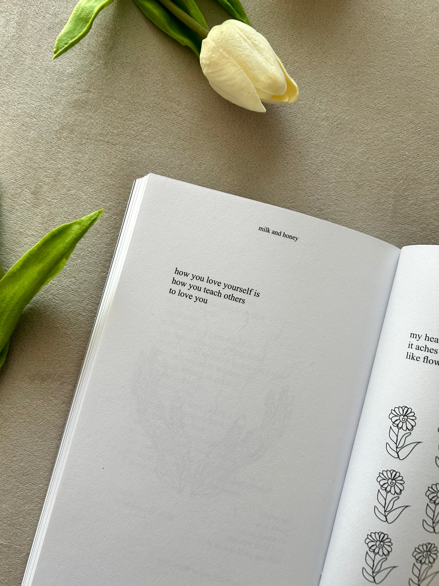 milk and honey by Rupi Kaur