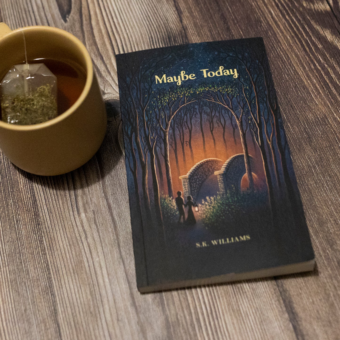 Maybe Today by SK Williams