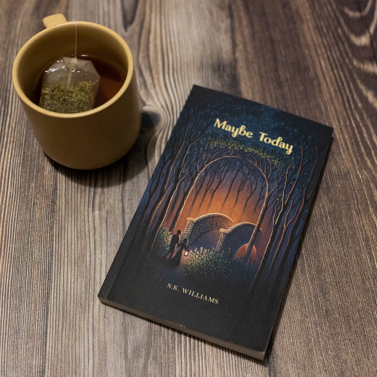 Maybe Today by SK Williams