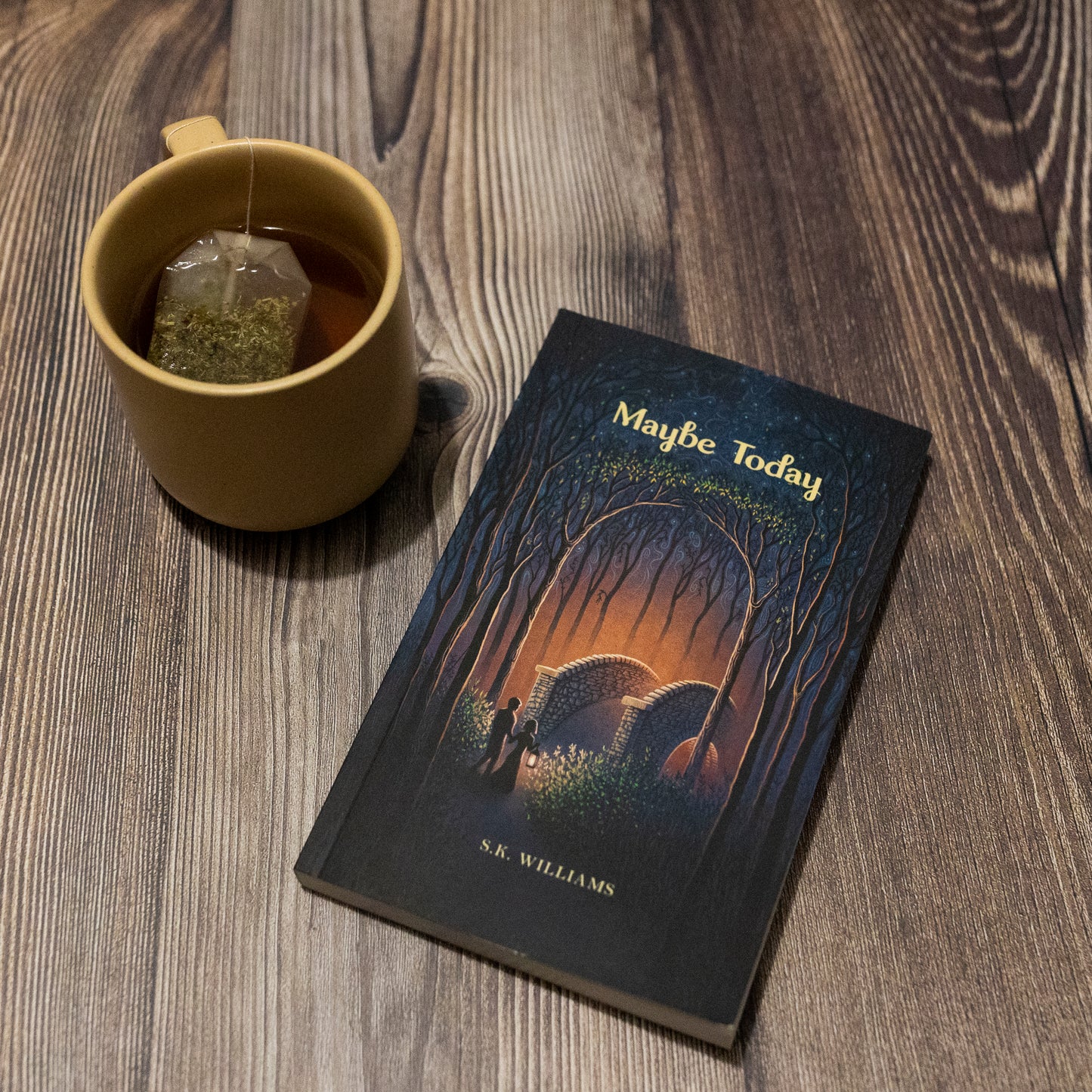 Maybe Today by SK Williams