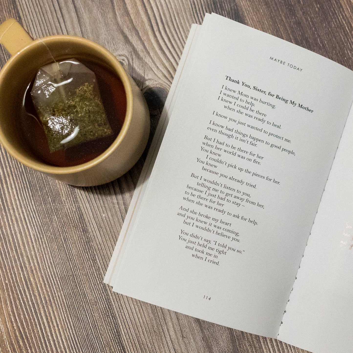 Maybe Today by SK Williams