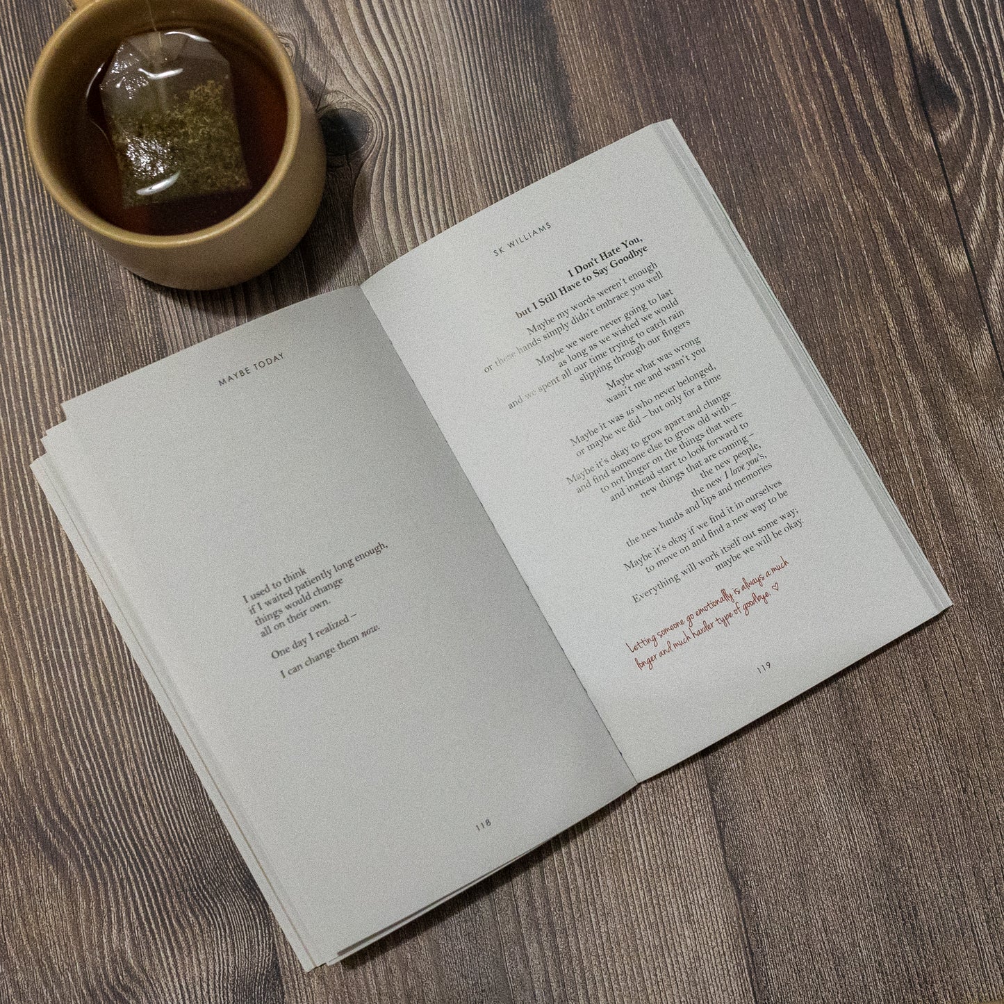 Maybe Today by SK Williams