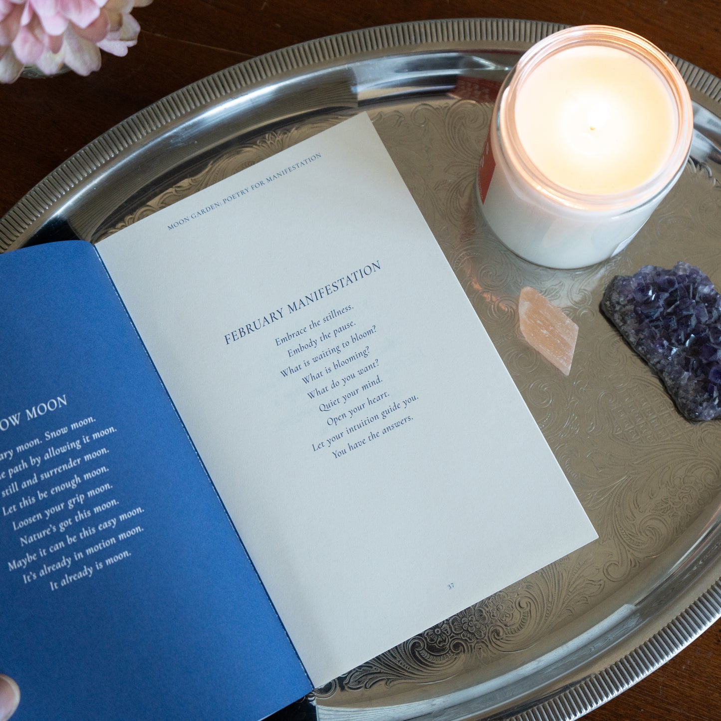 Moon Garden by Melody Godfred