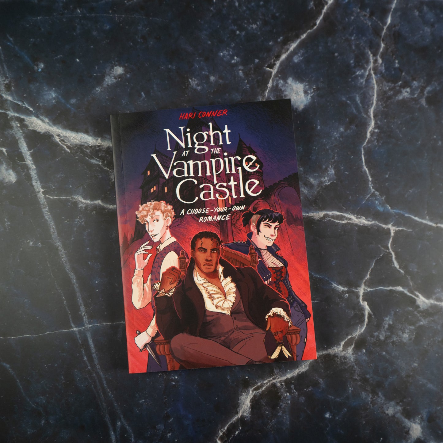 Night at the Vampire Castle by Hari Conner