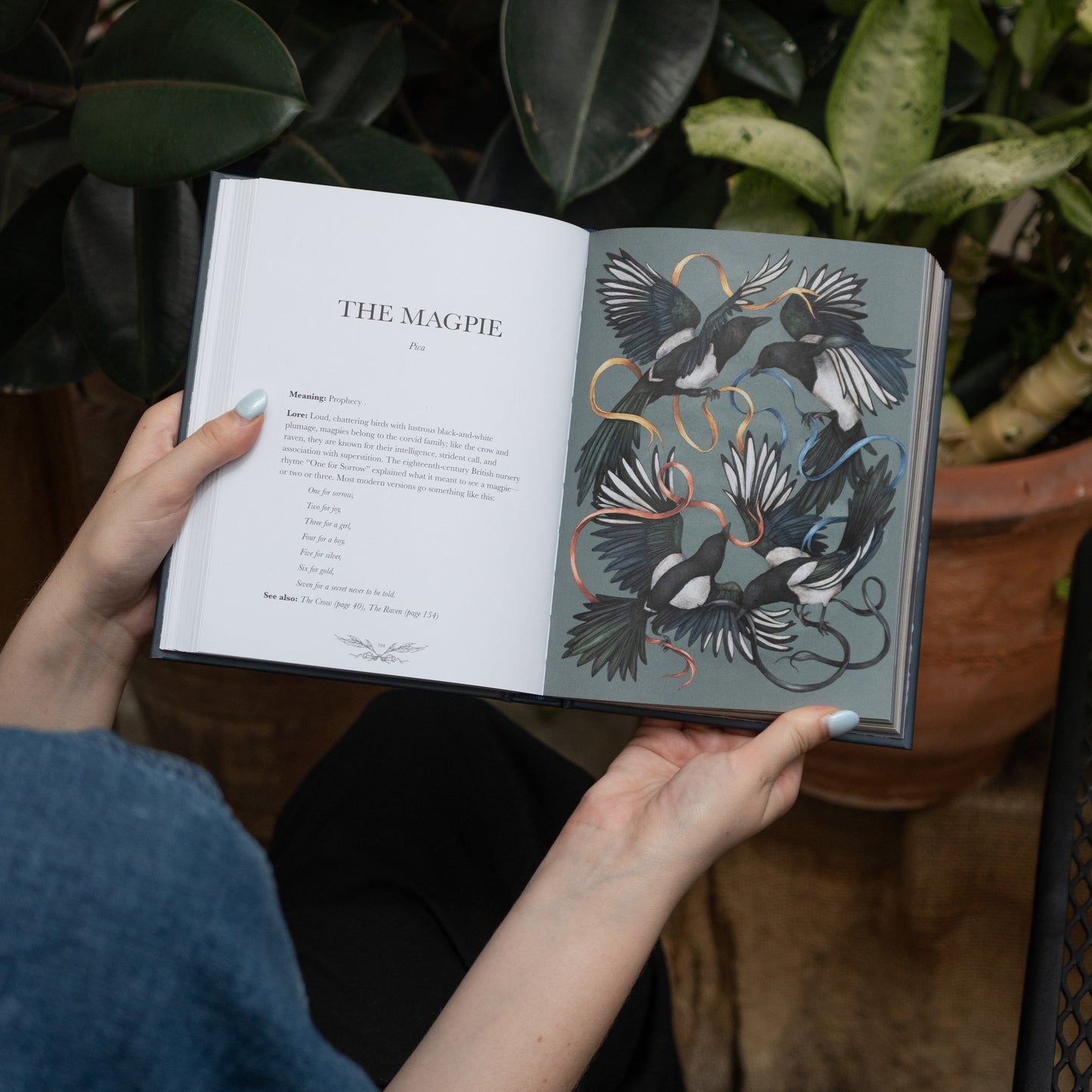 Ornithography: An Illustrated Guide to Bird Lore & Symbolism by Jessica Roux