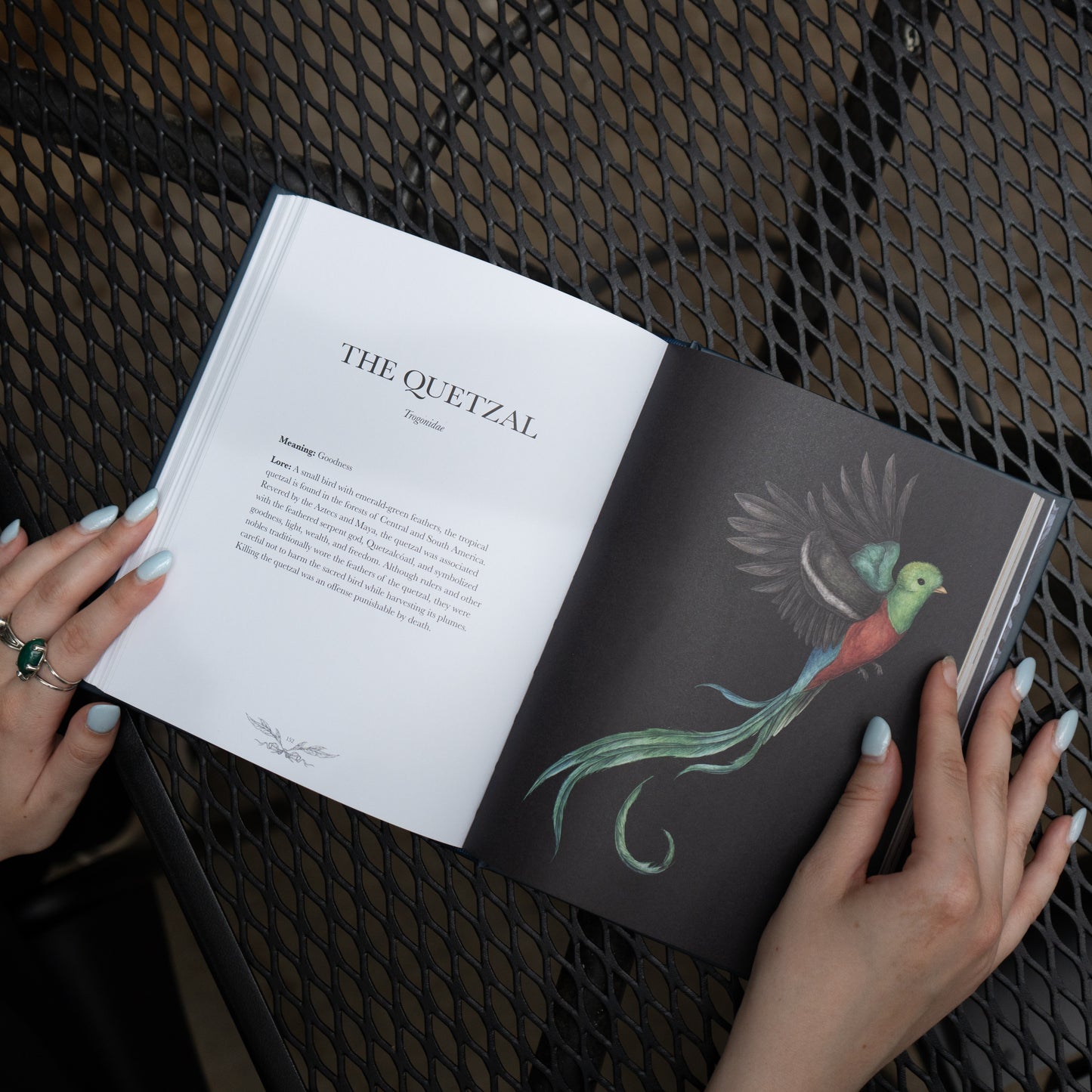 Ornithography: An Illustrated Guide to Bird Lore & Symbolism by Jessica Roux