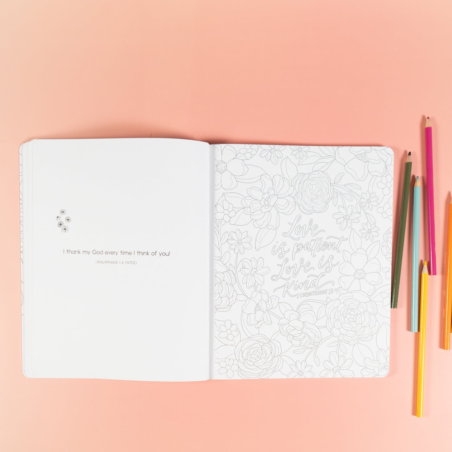 Scriptures and Florals Life in Full Bloom by Allison Loveall