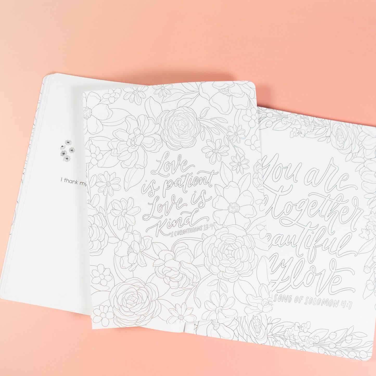 Scriptures and Florals Life in Full Bloom by Allison Loveall