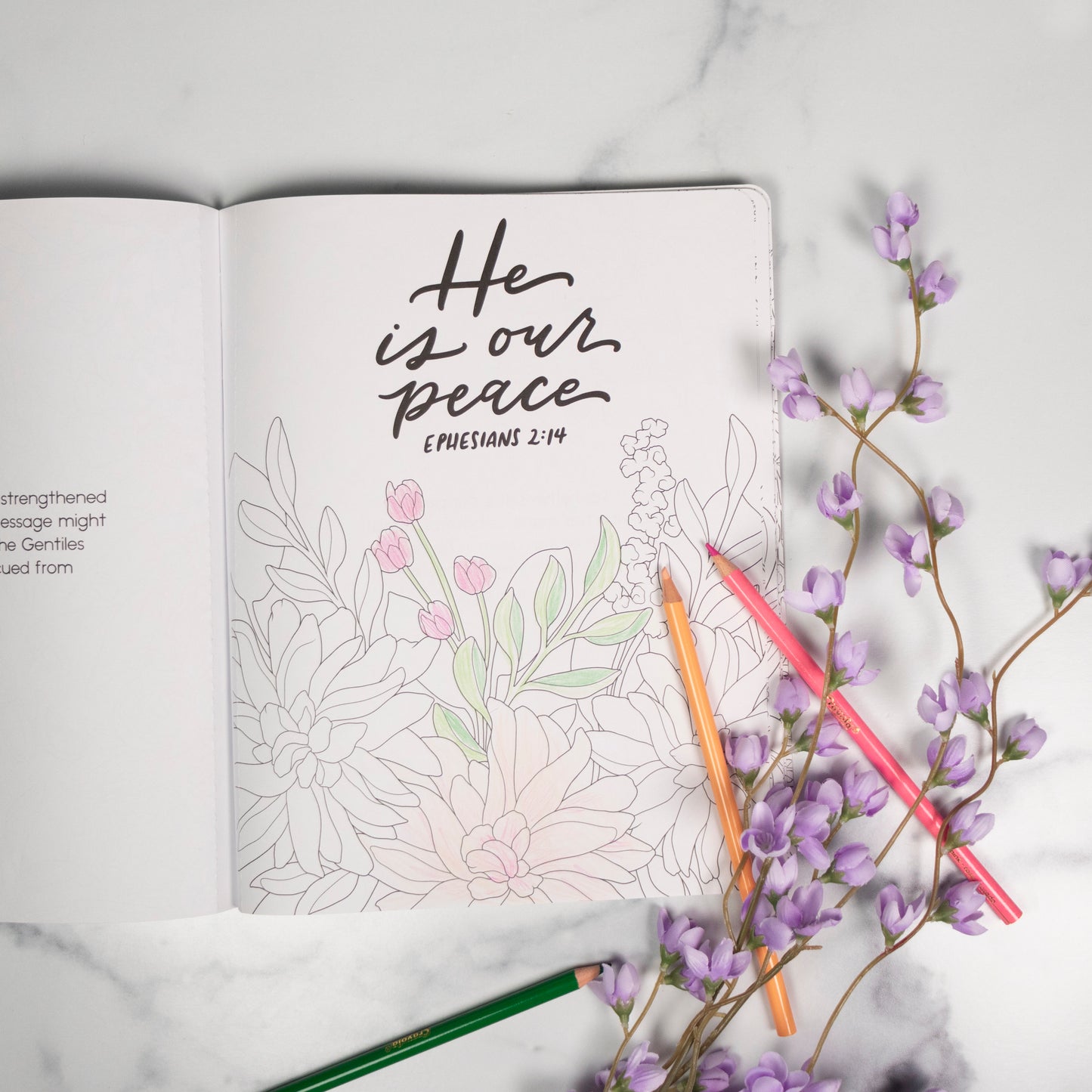 Scriptures and Florals Coloring Book by Allison Loveall