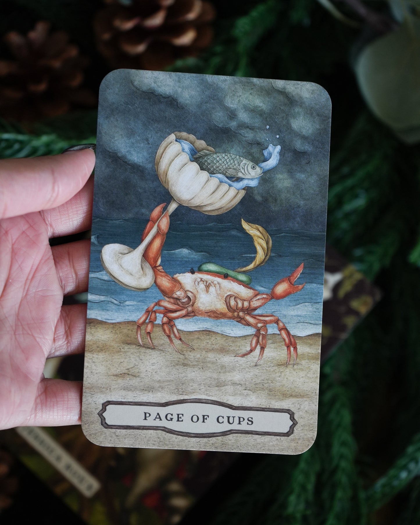 Tarot of the Woodland Wardens by Jessica Roux: 78-Card Deck & Guidebook