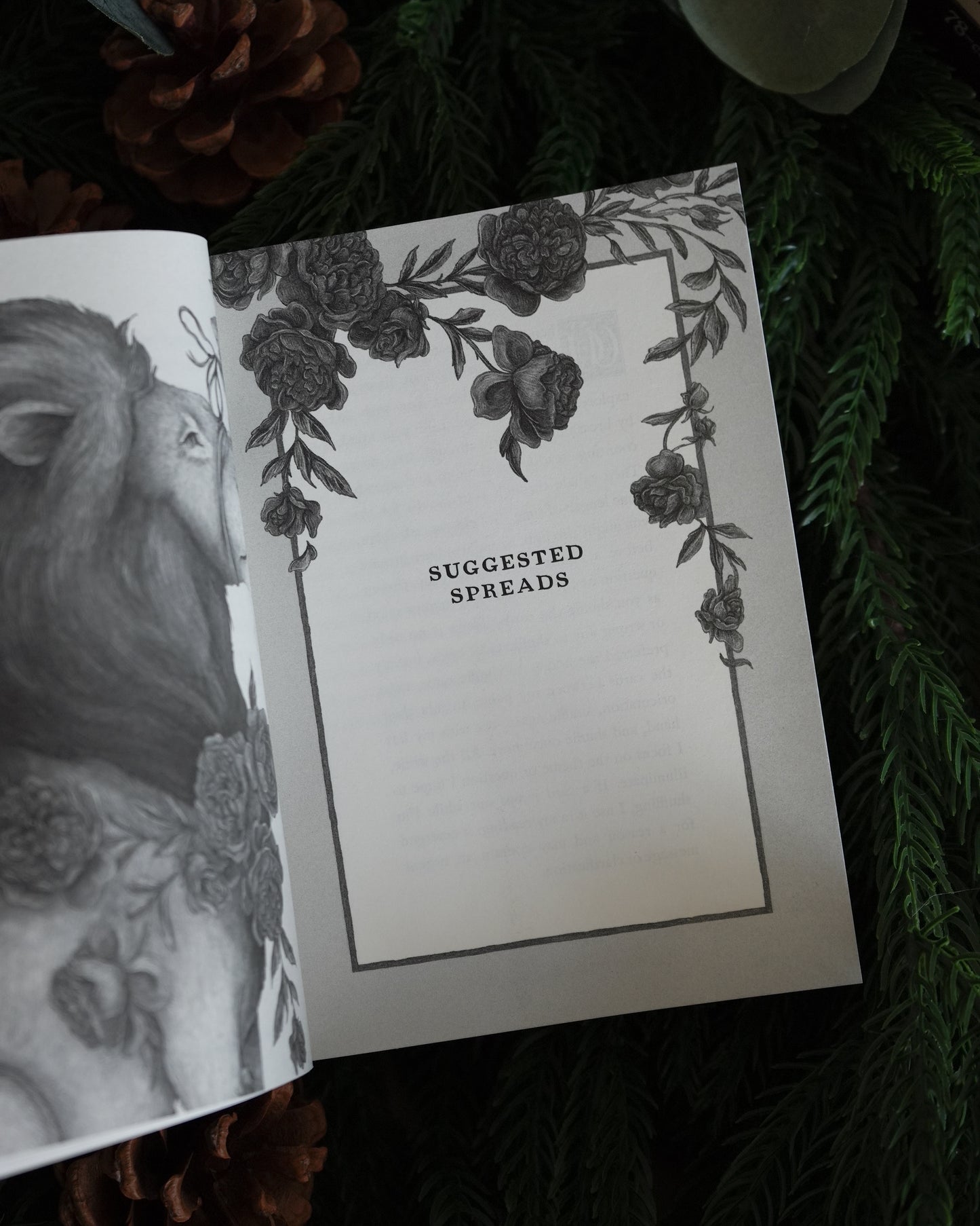 Tarot of the Woodland Wardens by Jessica Roux: 78-Card Deck & Guidebook