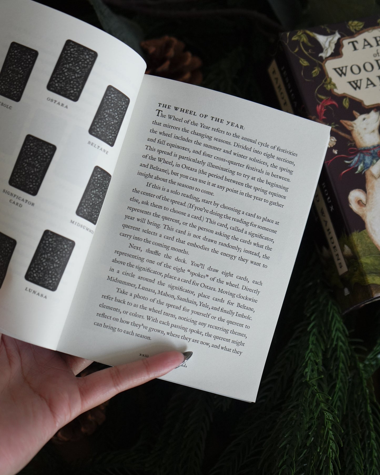 Tarot of the Woodland Wardens by Jessica Roux: 78-Card Deck & Guidebook