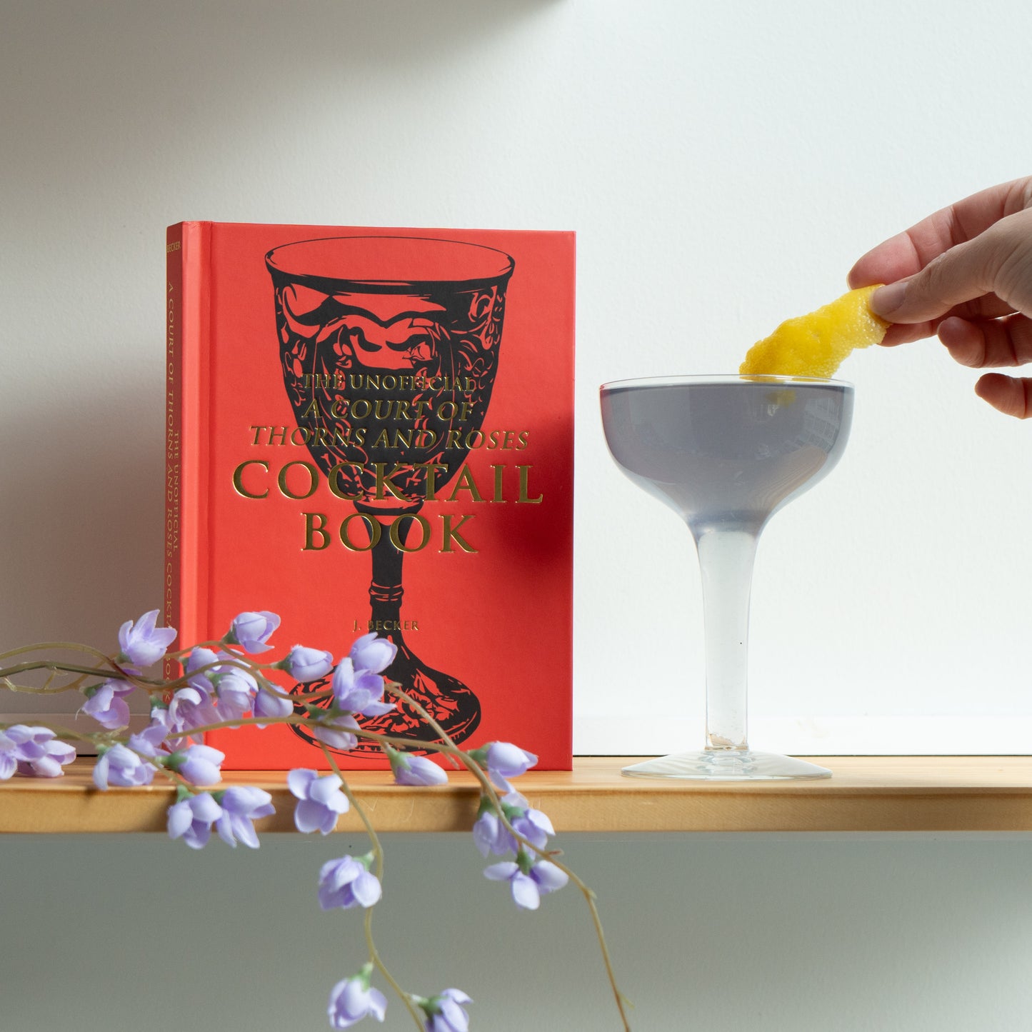The Unofficial A Court of Thorns and Roses by J. Becker