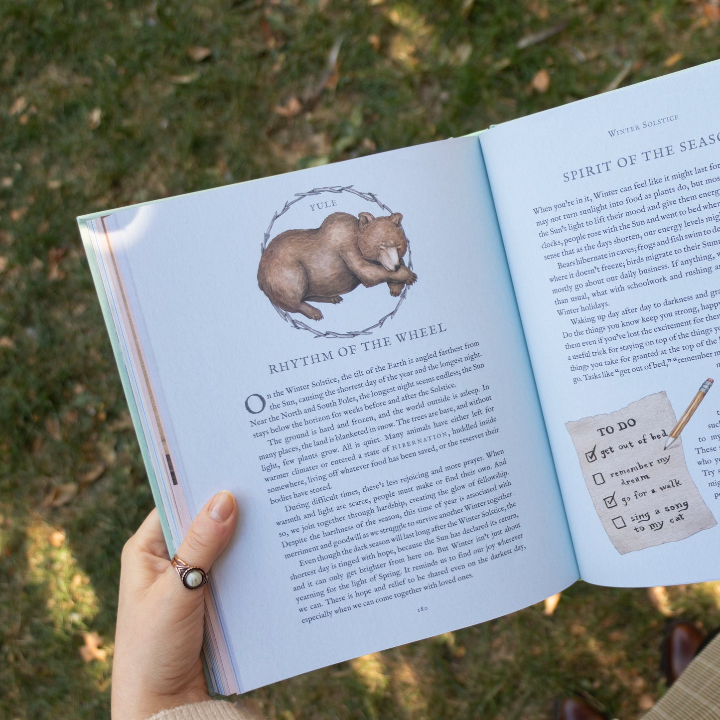 The Wheel of the Year by Fiona Cook and Jessica Roux