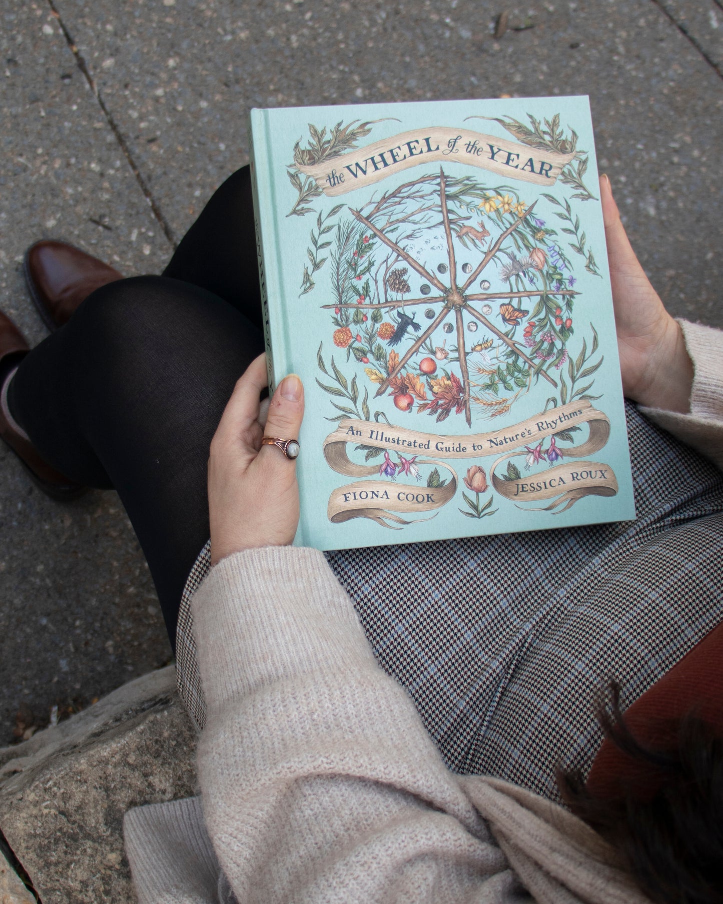 The Wheel of the Year by Fiona Cook and Jessica Roux