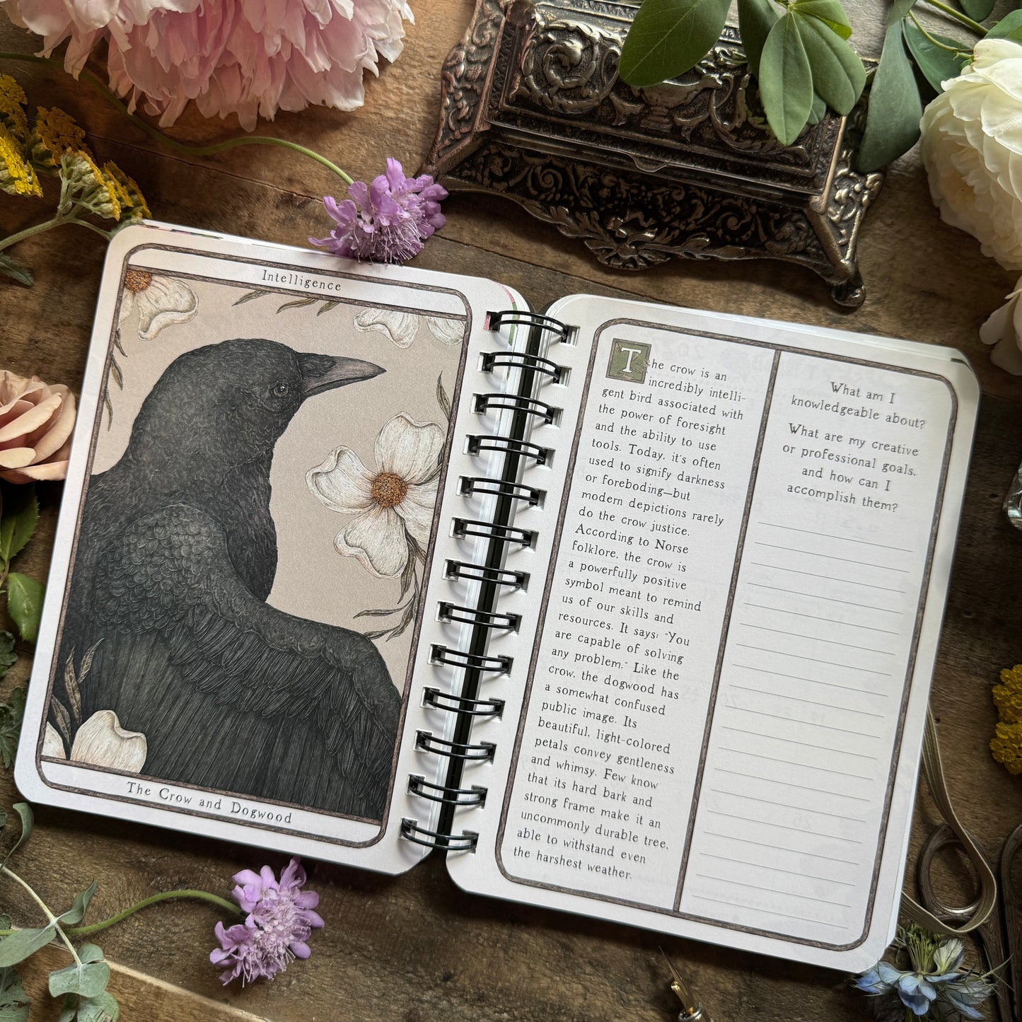Woodland Wardens 2027 Weekly Planner by Jessica Roux