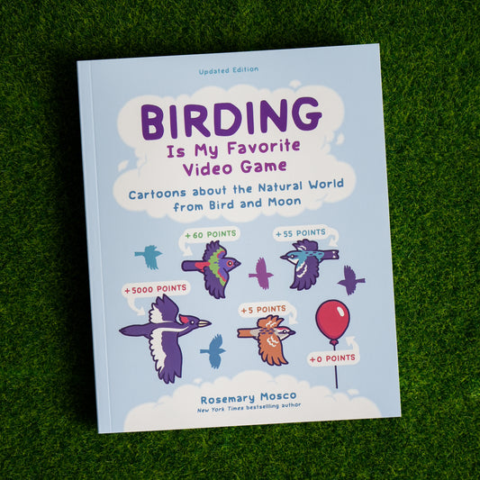 Birding is My Favorite Video Game by Rosemary Mosco