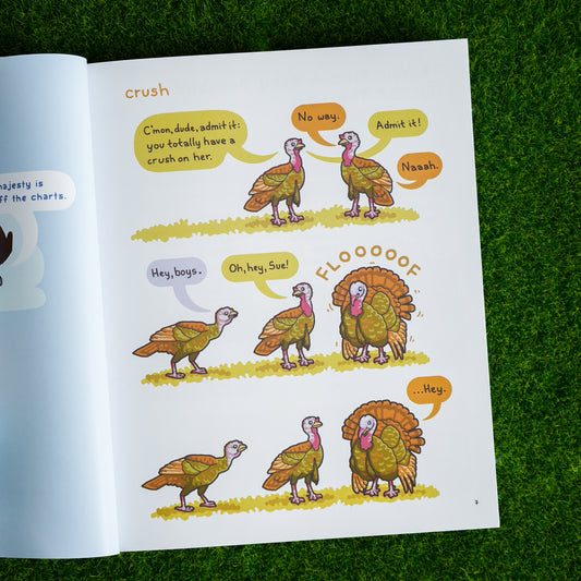 Birding is My Favorite Video Game by Rosemary Mosco