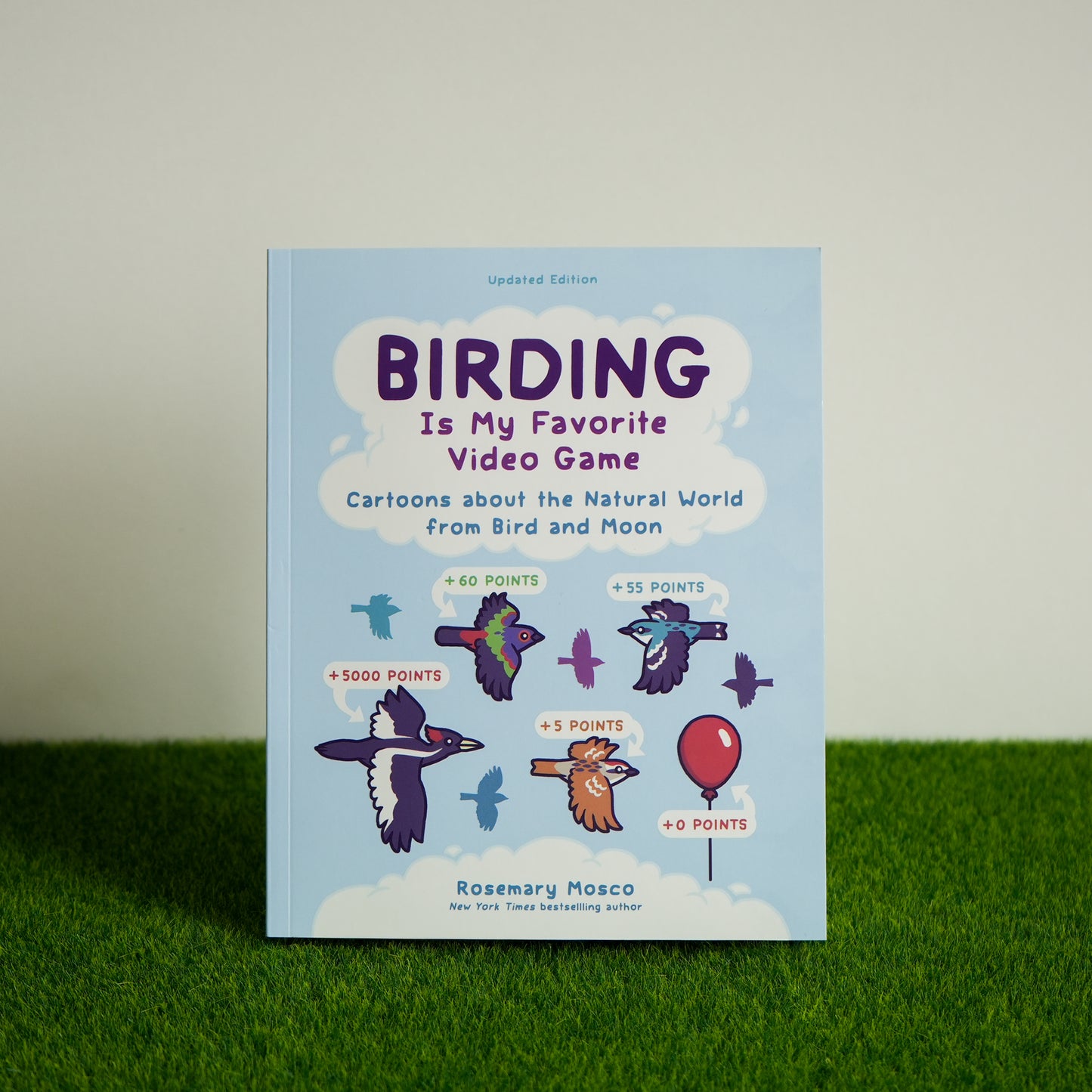 Birding is My Favorite Video Game by Rosemary Mosco
