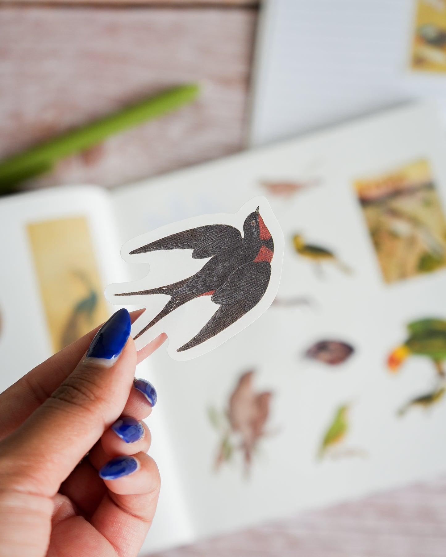 Birds: A Smithsonian Sticker Book by The Smithsonian Institution
