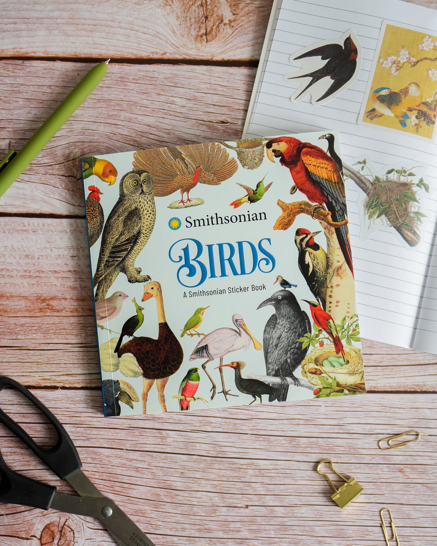Birds: A Smithsonian Sticker Book by The Smithsonian Institution