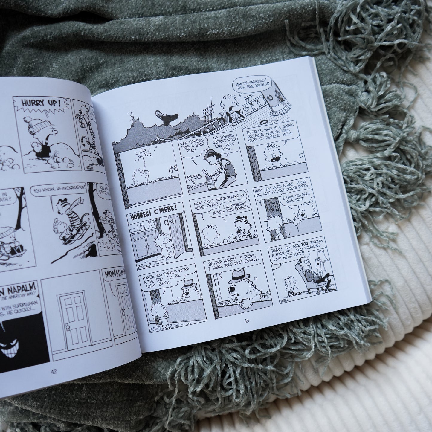 Calvin and Hobbes by Bill Watterson, G. B. Trudeau