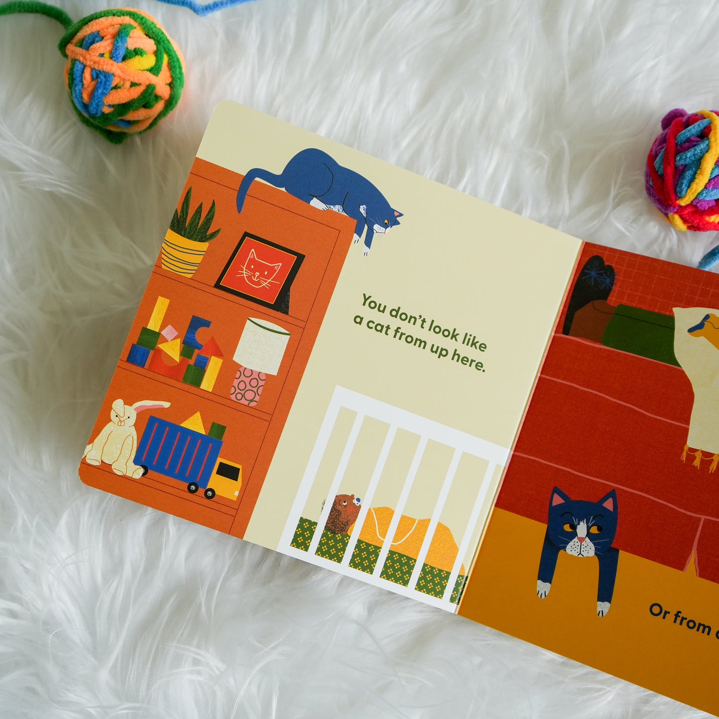 Cat's First Baby by Natalie Nelson