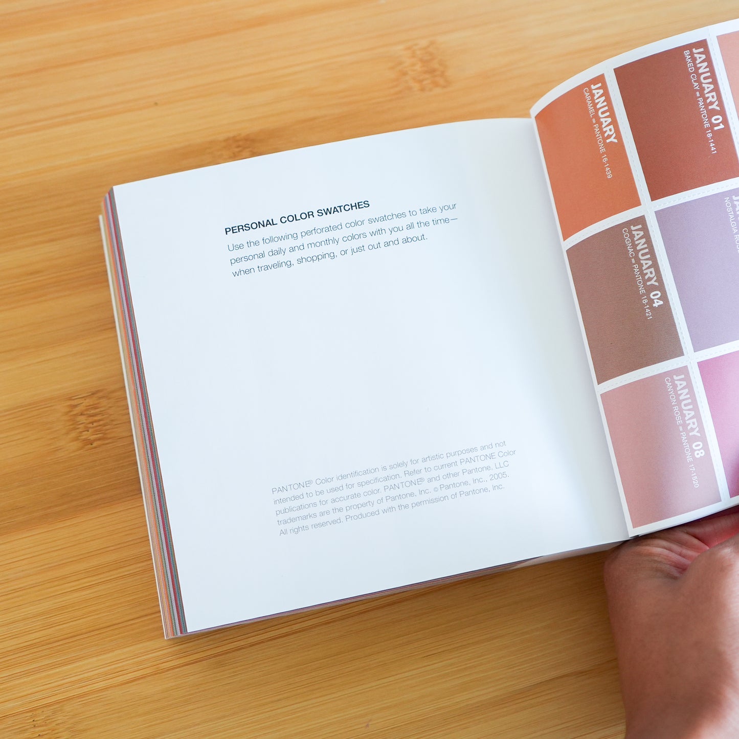 Colorstrology by Michele Bernhardt
