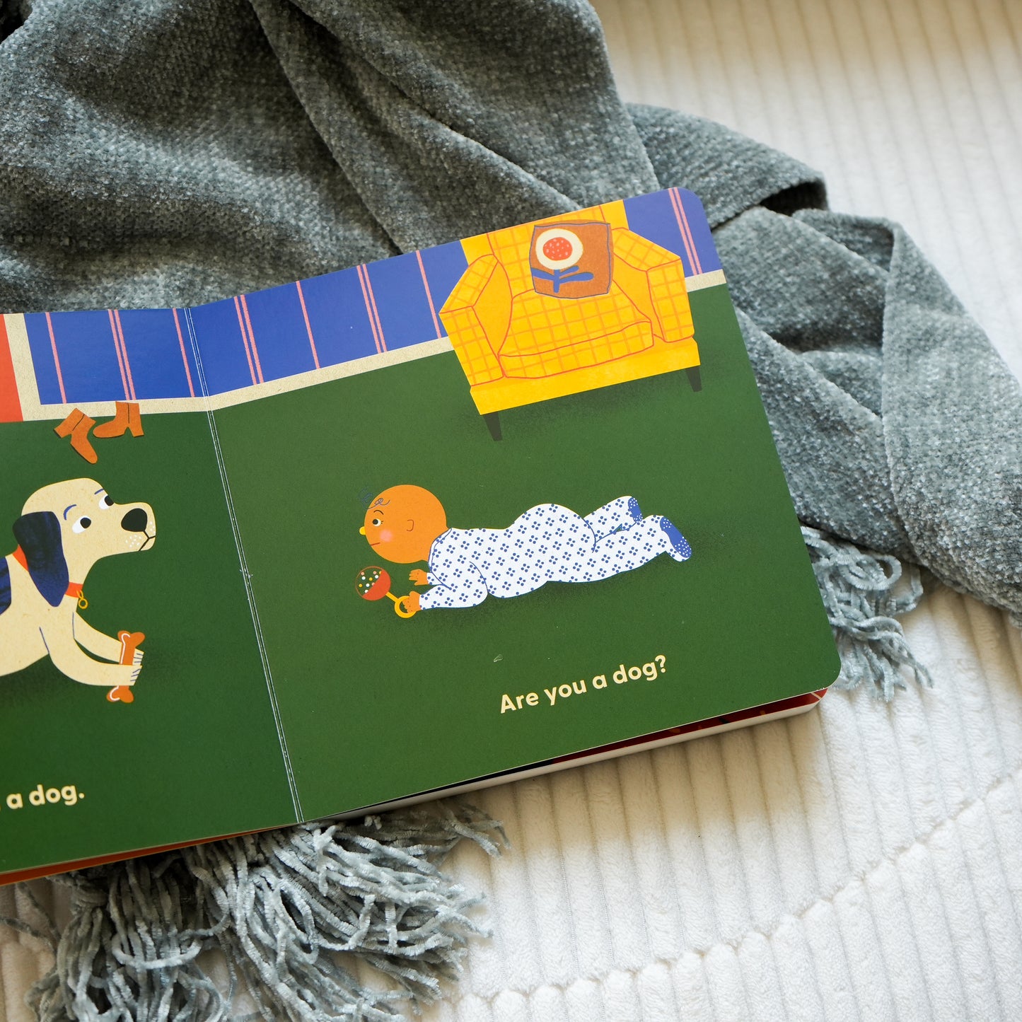 Dog's First Baby: A Board Book