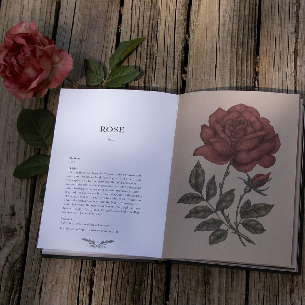 Floriography by Jessica Roux