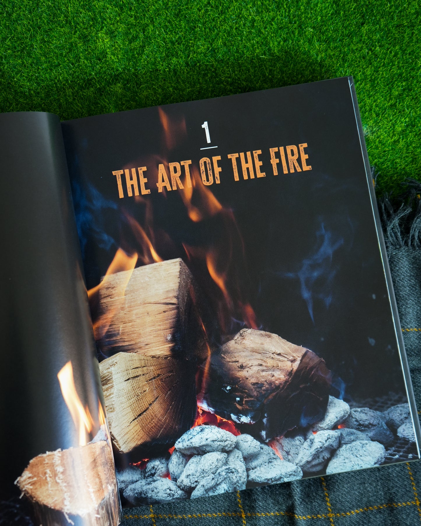 Fanning the Flames by Melissa Cookston