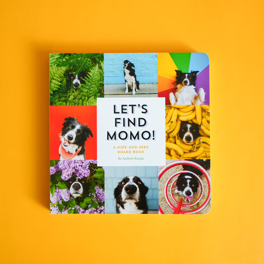 Let's Find Momo! by Andrew Knapp